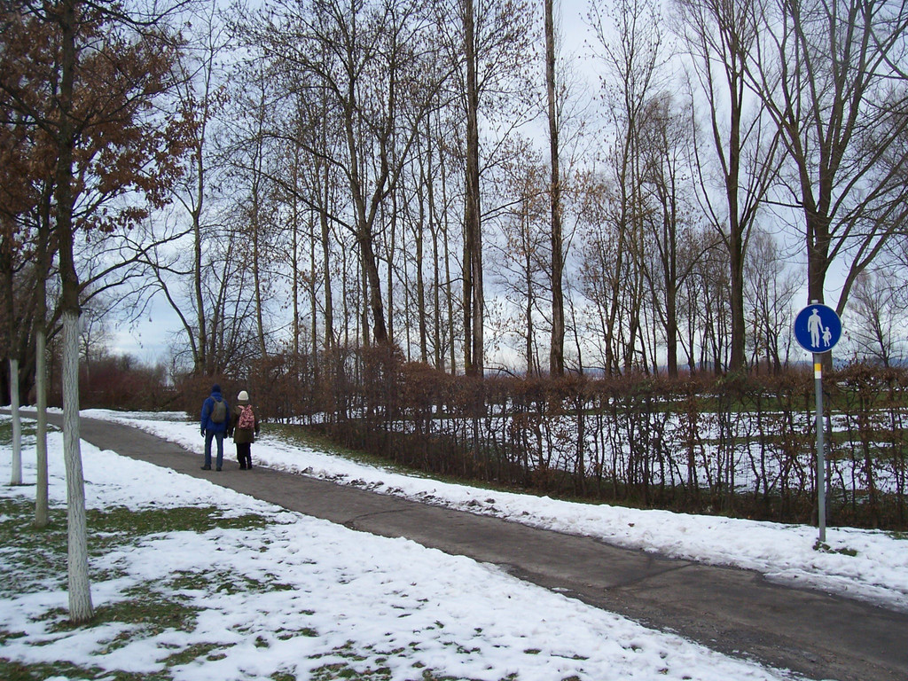 100_4808.JPG