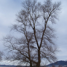100_4810.JPG