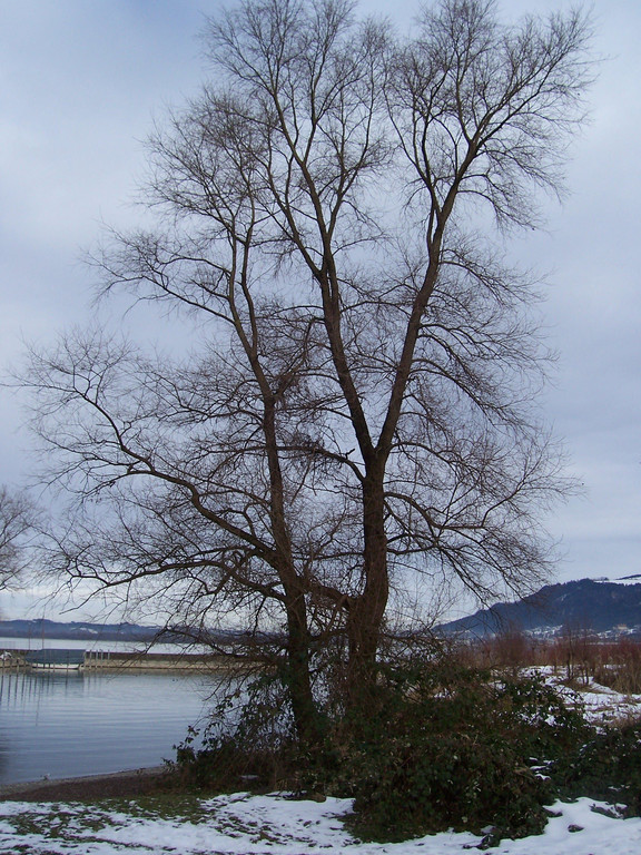 100_4810.JPG