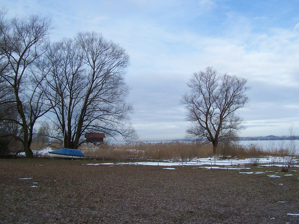 100_4811.JPG