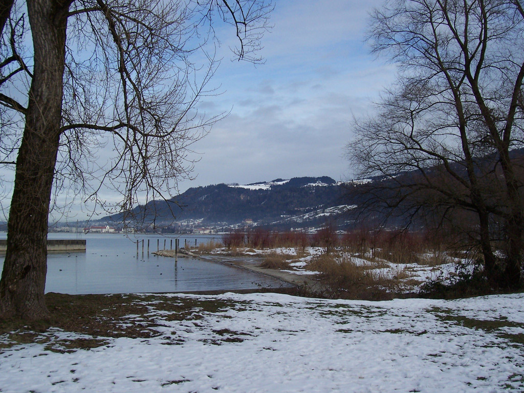100_4812.JPG