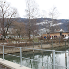 Dreik__nigslauf Seeanlagen 06-01-2011 _8__jpg-1294339034