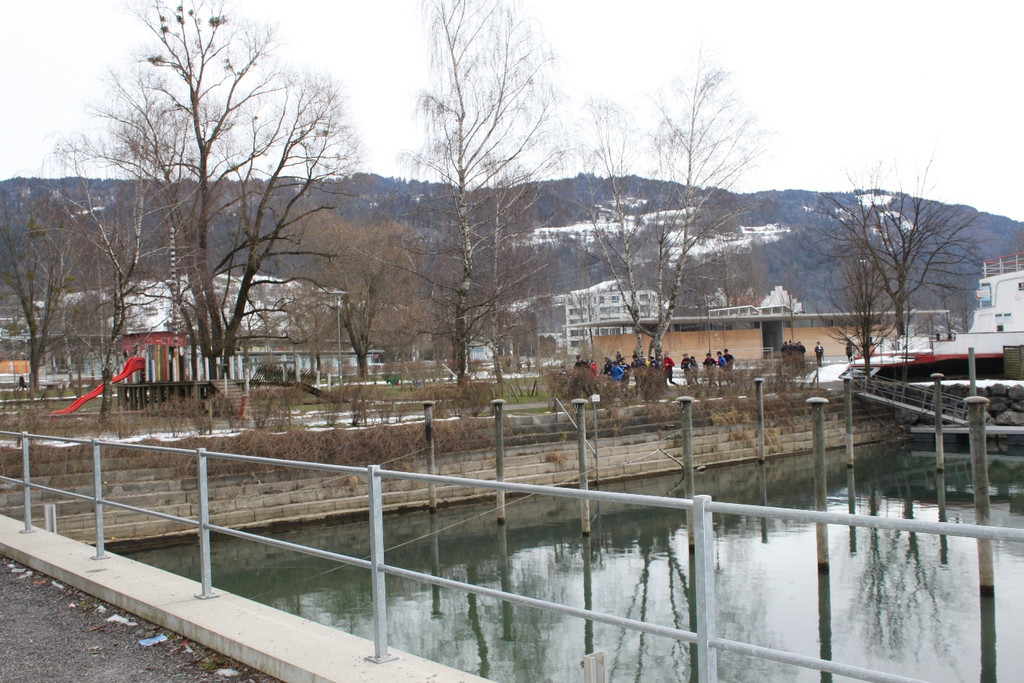 Dreik__nigslauf Seeanlagen 06-01-2011 _8__jpg-1294339034