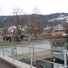 Dreik__nigslauf Seeanlagen 06-01-2011 _9__jpg-1294339053