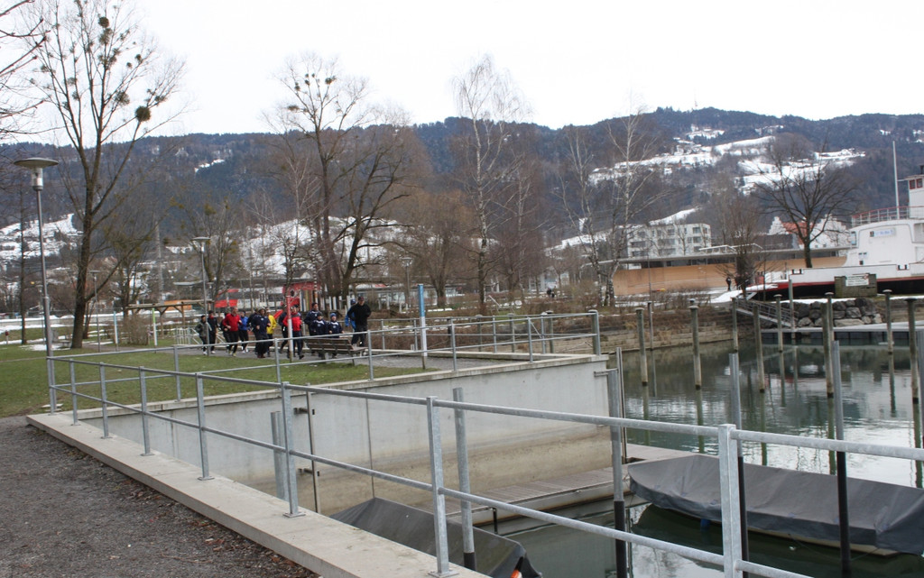 Dreik__nigslauf Seeanlagen 06-01-2011 _9__jpg-1294339053