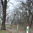 Dreik__nigslauf Seeanlagen 06-01-2011 _17__jpg-1294339204