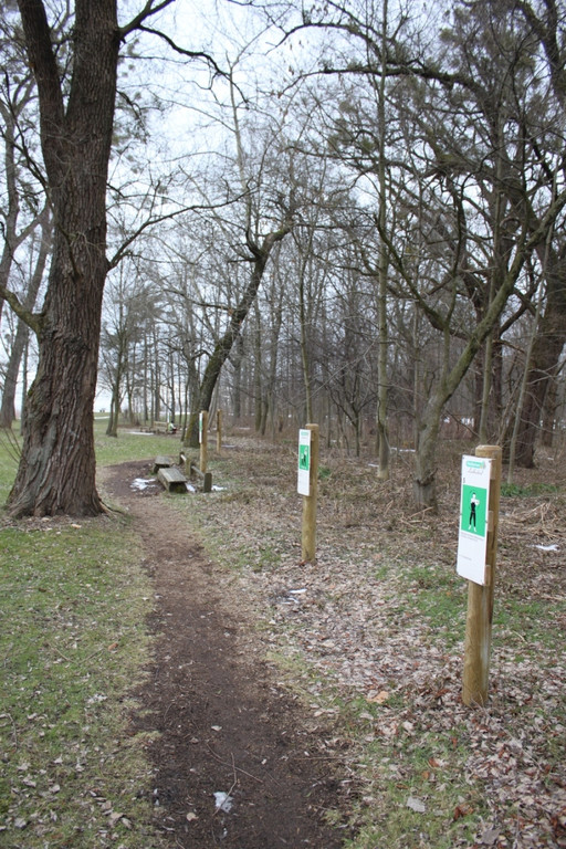 Dreik__nigslauf Seeanlagen 06-01-2011 _17__jpg-1294339204