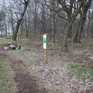 Dreik__nigslauf Seeanlagen 06-01-2011 _18__jpg-1294339224