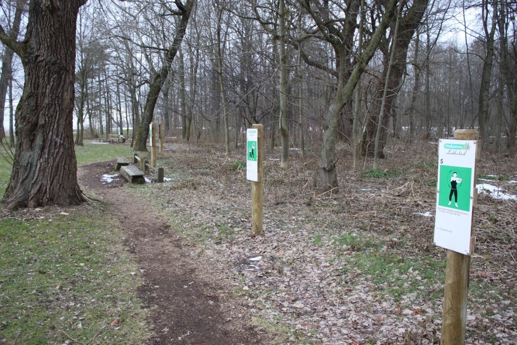 Dreik__nigslauf Seeanlagen 06-01-2011 _18__jpg-1294339224