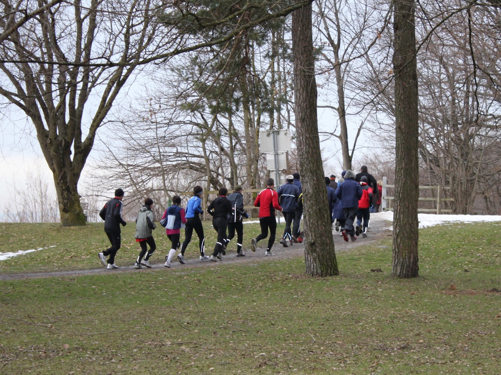 Dreik__nigslauf Seeanlagen 06-01-2011 _15__jpg-1294339172