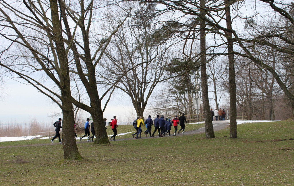 Dreik__nigslauf Seeanlagen 06-01-2011 _14__jpg-1294339149