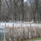 Dreik__nigslauf Seeanlagen 06-01-2011 _19__jpg-1294339247