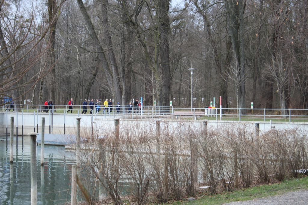 Dreik__nigslauf Seeanlagen 06-01-2011 _19__jpg-1294339247