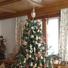 DSC_7631.jpg