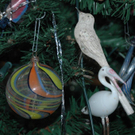 DSC_7646.jpg