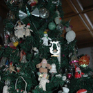 DSC_7650.jpg