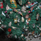 DSC_7657.jpg