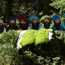 7 Zwerge im Wald_.jpg