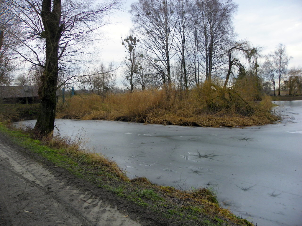 108_2112_jpg-1294399807