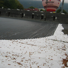 IMG_8460.JPG