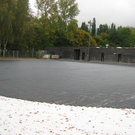 IMG_8461.JPG