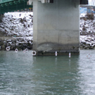 normal_07012011staustufelehenfmaktivnews_18.jpg