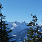 P1020018_Bildgr____e __ndern.JPG