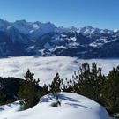 P1020024_Bildgr____e __ndern.JPG