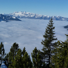 P1020028_Bildgr____e __ndern.JPG