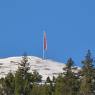 P1020080_Bildgr____e __ndern.JPG
