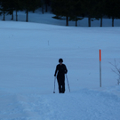 P1020081_Bildgr____e __ndern.JPG