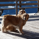 P1020210_Bildgr____e __ndern.JPG