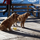 P1020215_Bildgr____e __ndern.JPG