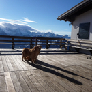 P1080969_Bildgr____e __ndern.JPG
