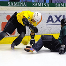 NEFC-2010_Bild05.jpg