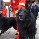 normal_08012011oerhbwinteruebungsaaktivnews002.jpg