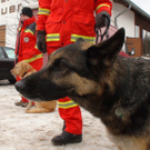 normal_08012011oerhbwinteruebungsaaktivnews006.jpg