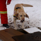 normal_08012011oerhbwinteruebungsaaktivnews028.jpg