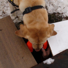 normal_08012011oerhbwinteruebungsaaktivnews030.jpg