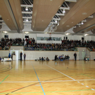 d7_jpg-1294583046
