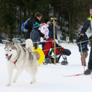 normal_09012011huskywm2aktivnews_018.jpg