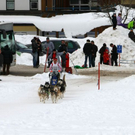 normal_09012011huskywm2aktivnews_026.jpg