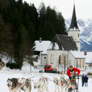 normal_09012011huskywm2aktivnews_032.jpg