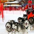 normal_09012011huskywm2aktivnews_033.jpg