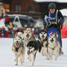 normal_09012011huskywm2aktivnews_039.jpg