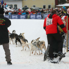 normal_09012011huskywm2aktivnews_049.jpg