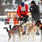 normal_09012011huskywm2aktivnews_055.jpg