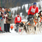 normal_09012011huskywm2aktivnews_057.jpg
