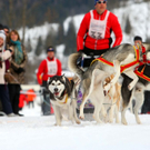 normal_09012011huskywm2aktivnews_058.jpg