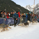 normal_09012011huskywm2aktivnews_075.jpg